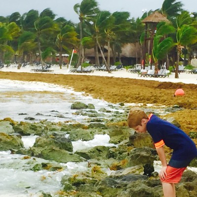 Barceló Resorts Maya Beach is an ideal Oasis for Families